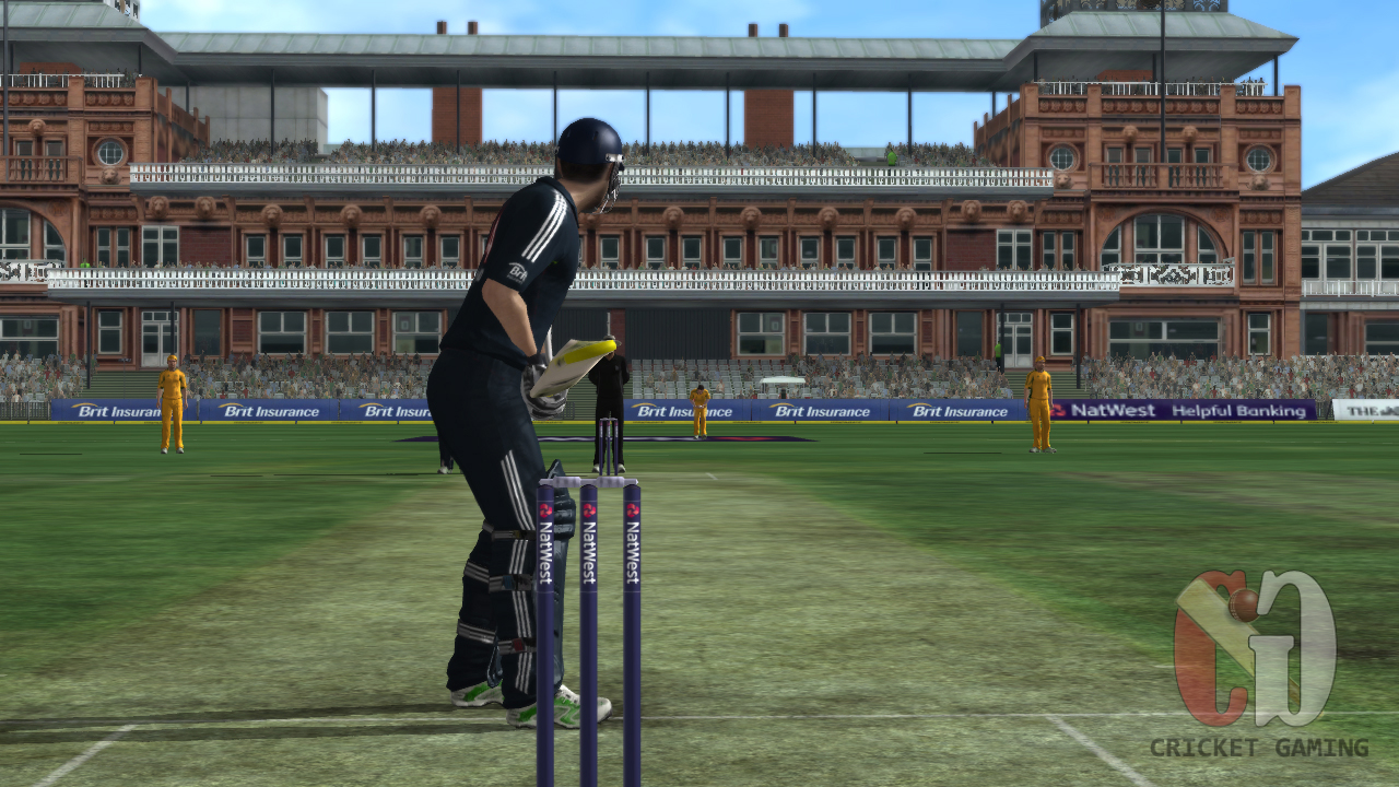 Codemasters' have released few screenshots for International Cricket 2010. The screenshots are similar to Ashes Cricket 2009.